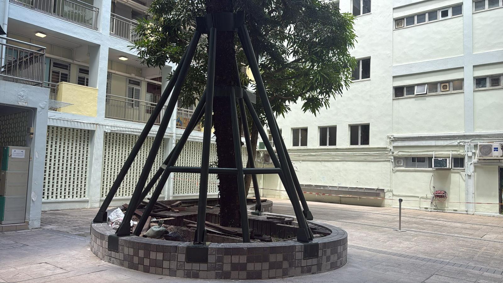 綠化鋼架或垂直綠化工程